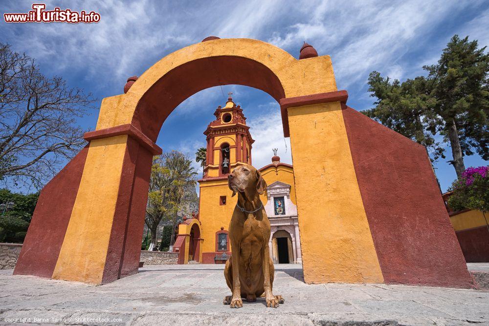 Immagine Il cane di un  turista attende sotto l'arco di fronte alla chiesa di Bernal, stato del Queretaro, Messico - © Barna Tanko / Shutterstock.com