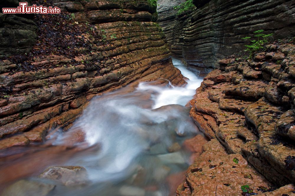 Immagine Il canyon naturale del torrente Taugl in Austria, non lontano da Bad Vigaun