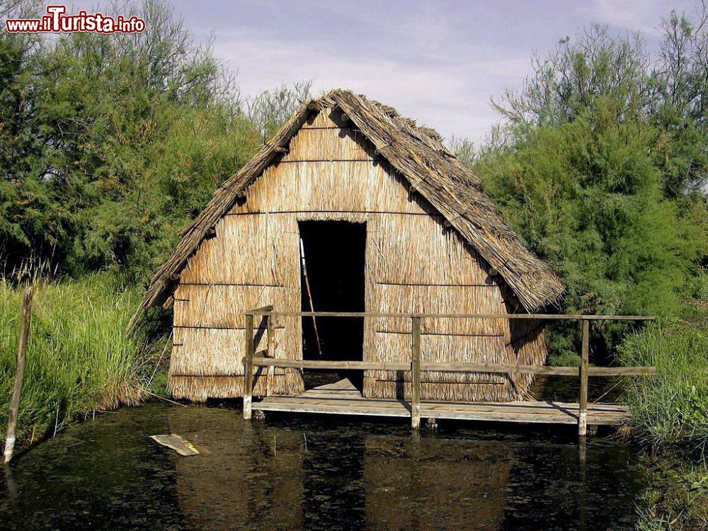 Immagine Il Casone di Valle Averto a Campagna Lupia in Veneto