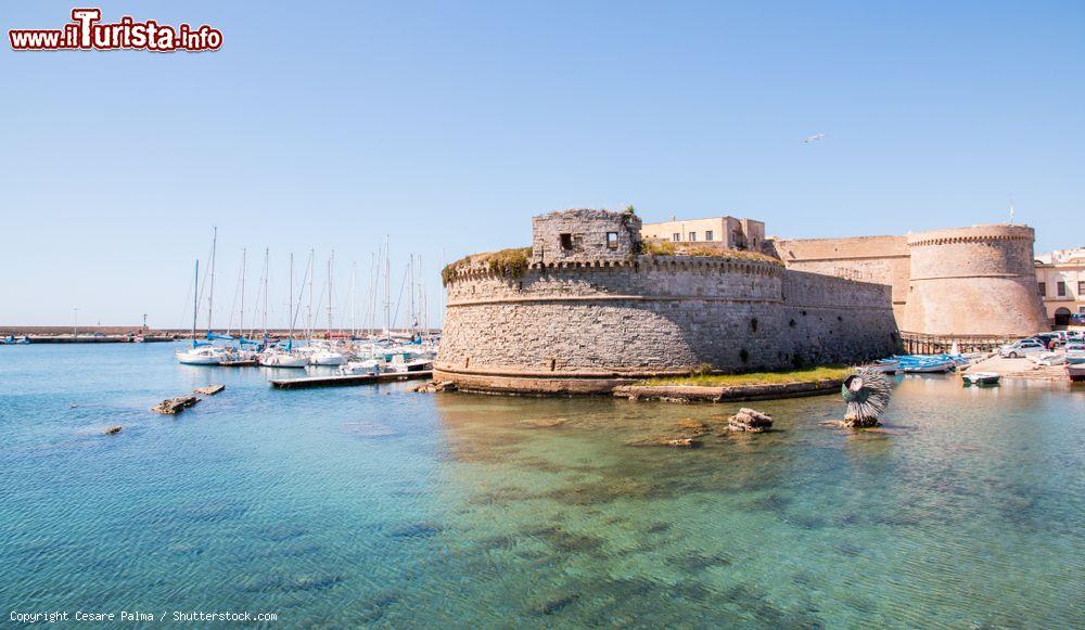 Immagine Il Castello Angioino Aragonese di Gallipoli nel Salento in Puglia - © Cesare Palma / Shutterstock.com