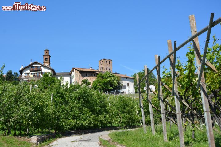 Immagine Il paesaggio della Val di Cembra: i vigneti, il Castello della Rosa e la località di Verla a Giovo