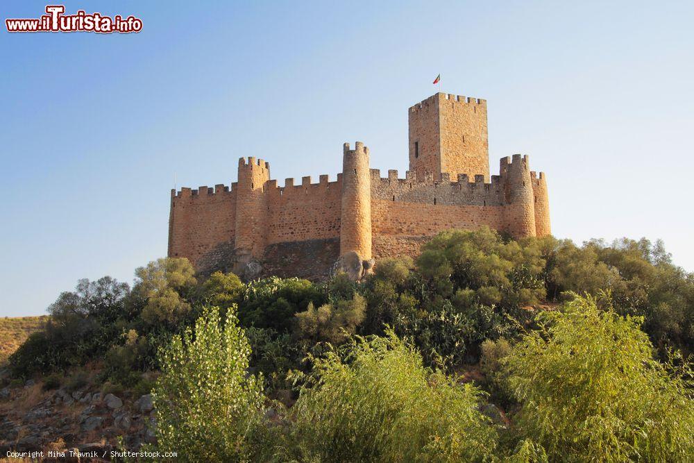 Immagine Il castello di Almourol nei pressi di Vila Nova da Barquinha, Portogallo. Questa fortezza, costruita nel 1171 dai Cavalieri Templari, s'innalza su un isolotto in mezzo al fiume - © Miha Travnik / Shutterstock.com