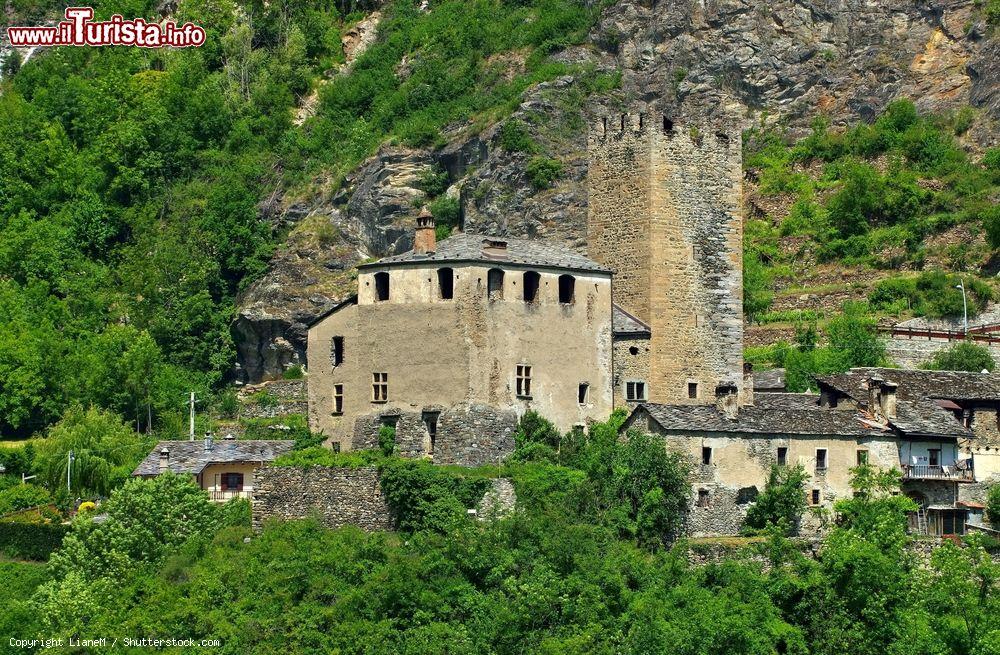 Immagine Il castello di Avise immerso nella natura di Aosta, Valle d'Aosta. La torre ha un bel motivo decorativo a caditoie e sul lato sud si apre una serie di finestre geminate a chiglia rovesciata  - © LianeM / Shutterstock.com