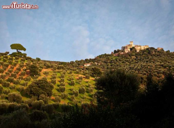 Immagine Il castello di Capalbio immerso nella bella campagna toscana. Il complesso faceva parte della donazione all'Abbazia dei Santi Anastasio e Vincenzo alle Tre Fontane nell'805 da parte di Carlo Magno - © mdlart / Shutterstock.com