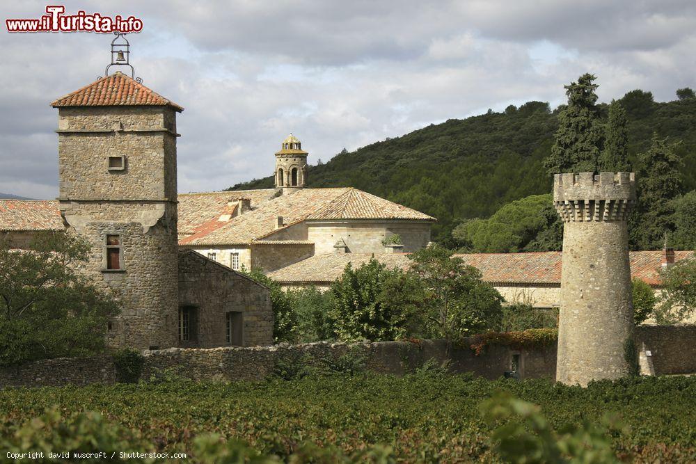 Immagine Il castello di Cassan vicino a Pezenas, Francia: noto anche come Versailles della Linguadoca, questa fortezza abbazia risale nelle sue forme attuali al XVIII° secolo  - © david muscroft / Shutterstock.com