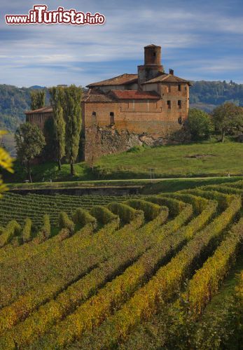 Immagine Il castello di La Morra, Cuneo, Piemonte. A fare da cornice a questa antica costruzione signorile sono le coltivazioni di pregiati vigneti da cui si ricavano alcuni dei vini più apprezzati al mondo