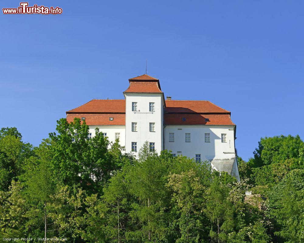 Immagine Il Castello di Lendava si trova nell'est della Slovenia al confine con Ungheria e Croazia  - © Pecold / Shutterstock.com