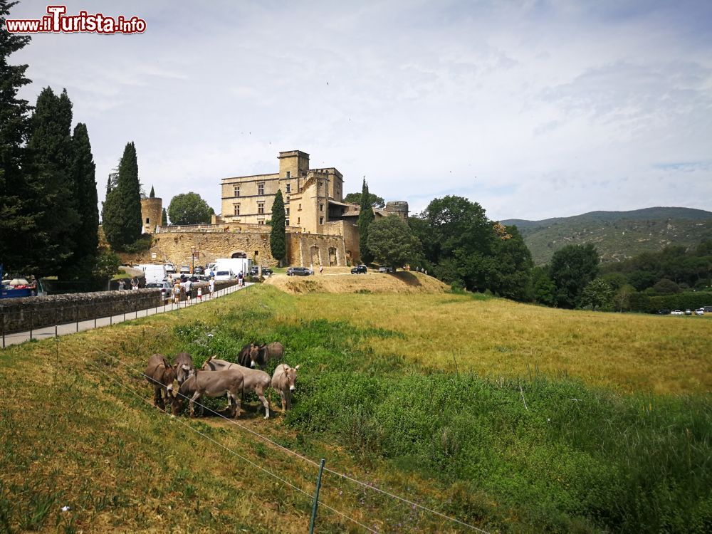 Immagine Il castello di Lourmarin