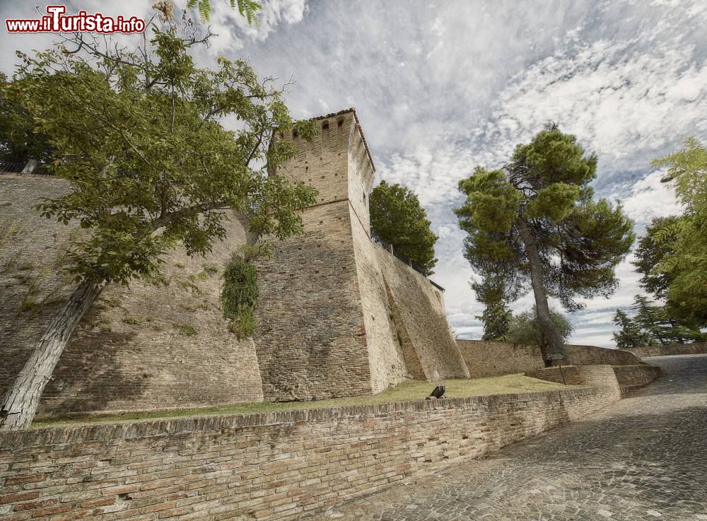 Le foto di cosa vedere e visitare a Montegridolfo