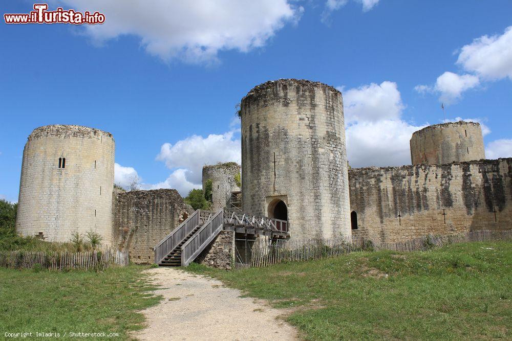 Immagine Il Castello di Niort, Chateau Coudray, ovest della Francia, Nuova Aquitania - © Imladris / Shutterstock.com