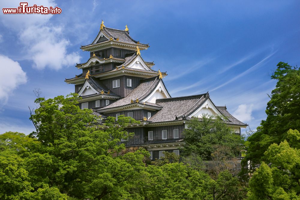 Immagine Il castello di Okayama, Giappone: eretto fra il 1573 e il 1579, è stato ricostruito dopo il 1966 in seguito alle distruzioni della Seconda Guerra Mondiale.