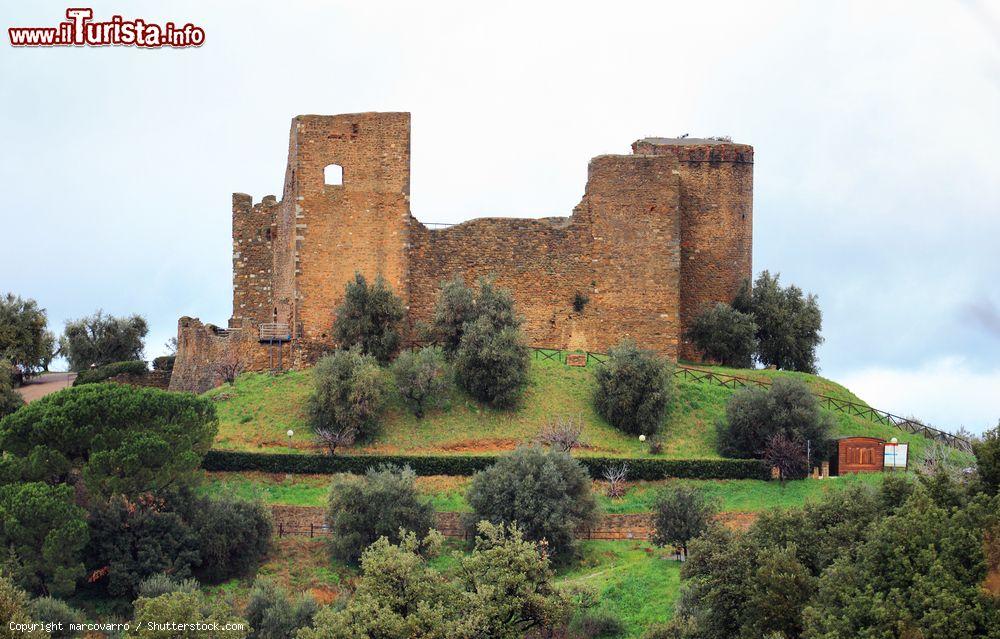 Immagine Il Castello di Scarlino a 230 metri di altezza tra le colline della Maremma, in Toscana - © marcovarro / Shutterstock.com