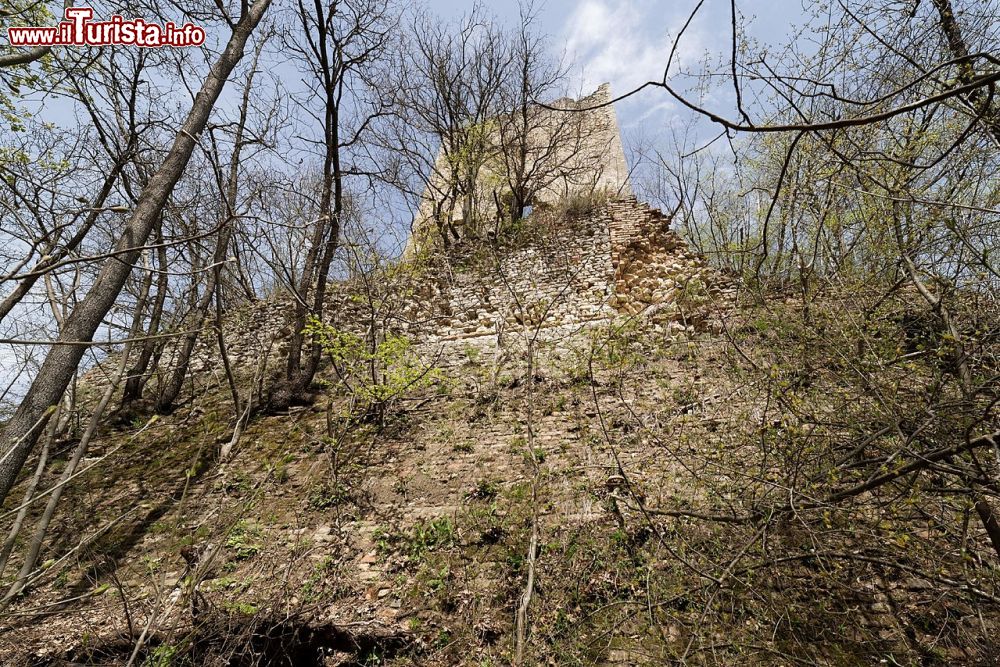 Immagine Il Castello di Varano Marchesi vicino a Medesano in provincia di Parma - © Basilicofresco, CC BY-SA 4.0, Wikipedia