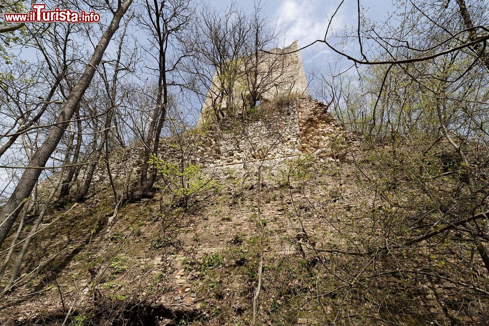 Immagine Il Castello di Varano Marchesi vicino a Medesano in provincia di Parma - © Basilicofresco, CC BY-SA 4.0, Wikipedia