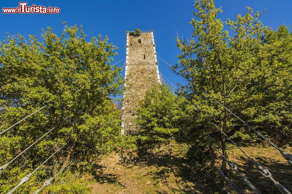 Immagine Il Castello di Vernazzano sulla sponda nord del Lago Trasimeno in Umbria - ©  Valeri Rossano - CC BY-SA 4.0, Wikipedia