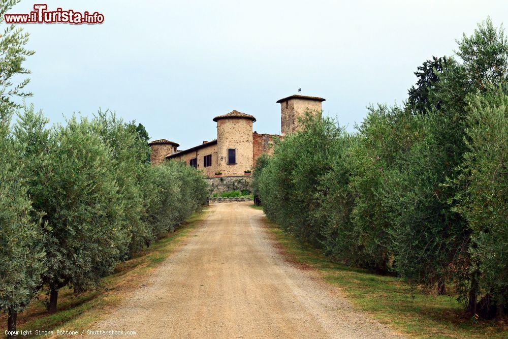 Immagine Il castello rinascimentale di Gabbiano a San Casciano in Val di Pesa, Firenze, Toscana. E' circondato da uliveti e vigneti che producono Chianti classico - © Simona Bottone / Shutterstock.com