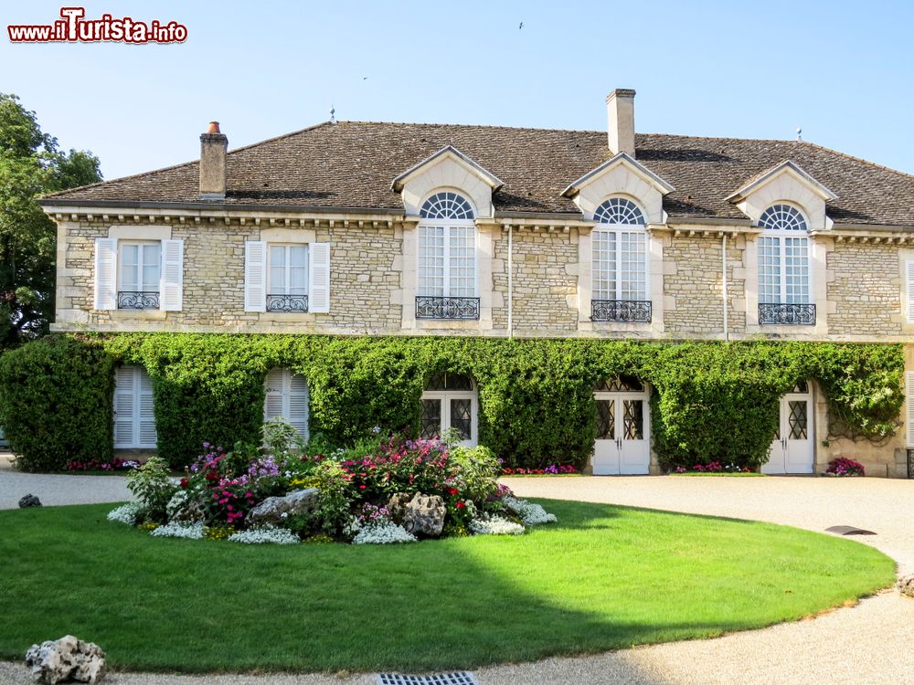 Immagine Il celebre Chateau de Meursault, cantina vinicola della Borgogna in Francia