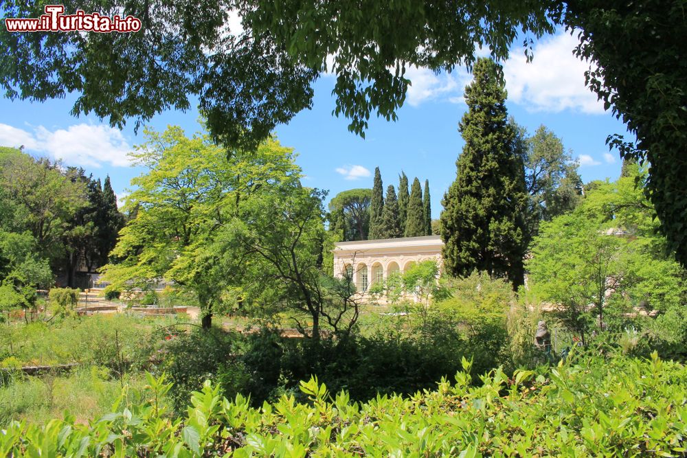 Immagine Il celebre giardino botanico di Montpellier (Francia), il più vecchio del paese. Fondato nel 1593 è il precursore del Jardin des Plantes di Parigi istituito nel 1626. Ospita oltre 2 mila specie vegetali in un'oasi naturale di quasi 5 ettari.