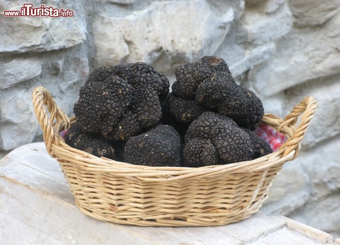 Fiera Nazionale del Tartufo Nero di Fragno Calestano