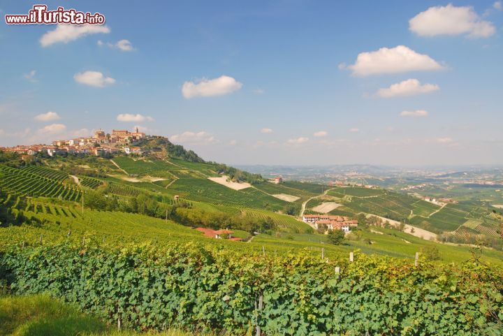 Immagine Il celebre villaggio di La Morra, Cuneo, Piemonte. Di origine antica, questa località venne fondata verso la fine del XII° secolo dal Comune di Alba. Secondo alcuni il nome La Morra deriverebbe da "murra", termine benedettino con il significato di "luogo chiuso" circondato da muretti in pietra all'interno del quale veniva custodito il bestiame. Per altri invece dal frutto dei rovi, la mora, o ancora da mola, la macina del mulino