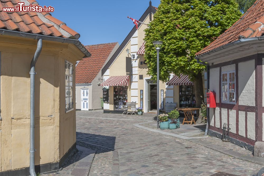 Immagine Il centro di Odense nei pressi del Museo Andersens (Danimarca).