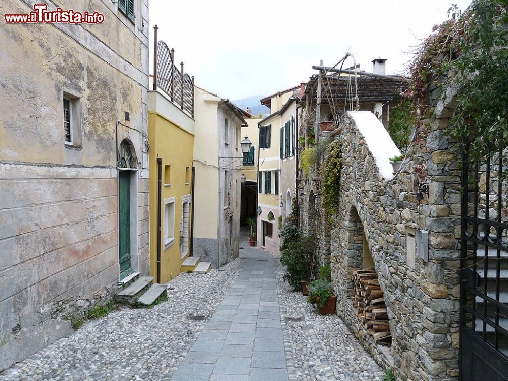 Le foto di cosa vedere e visitare a Calice Ligure