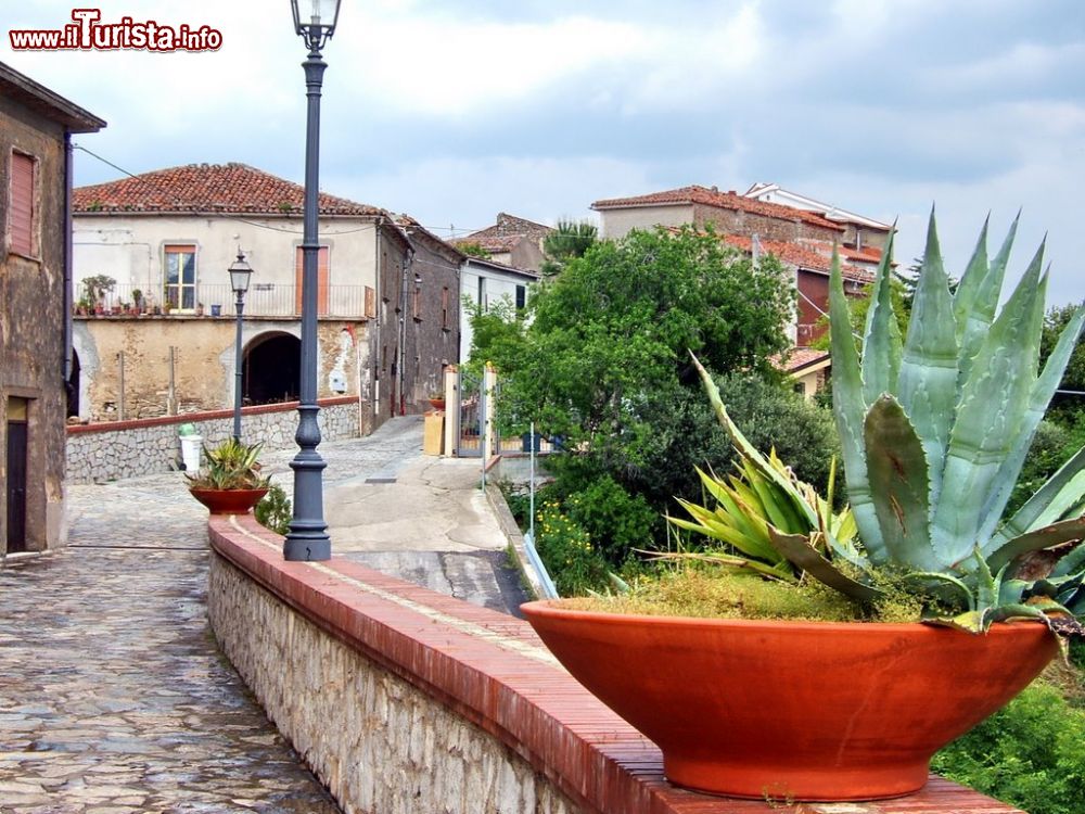 Le foto di cosa vedere e visitare a Torchiara