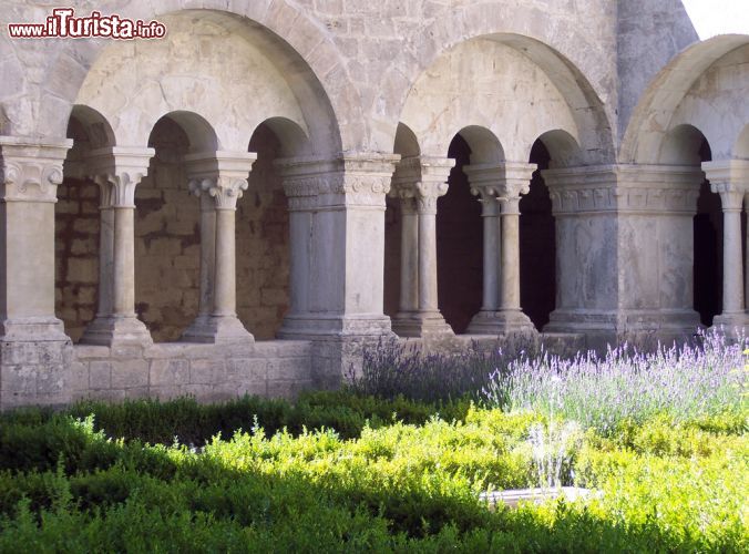 Immagine Il chiostro dell Abbazia di Sénanque a Gordes, Francia - Centro dell'abbazia cistercense, il chiostro è un luogo di passaggio e di raccordo di tutte le parti che compongono l'edificio religioso. Appena entrati, sulla destra, si può ammirare un armadio a muro dove venivano conservati i libri sacri. Il chiostro è formato da quattro gallerie decorate con semplici colonne impreziosite da motivi vegetali © leonardo_da_gressignano / Shutterstock.com