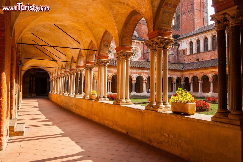 Le foto di cosa vedere e visitare a Vercelli