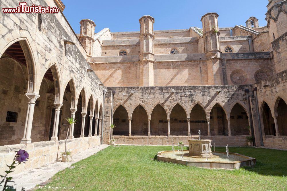 Immagine Il chiostro della cattedrale di Santa Maria a Tortosa, Catalogna, Spagna  - © joan_bautista / Shutterstock.com