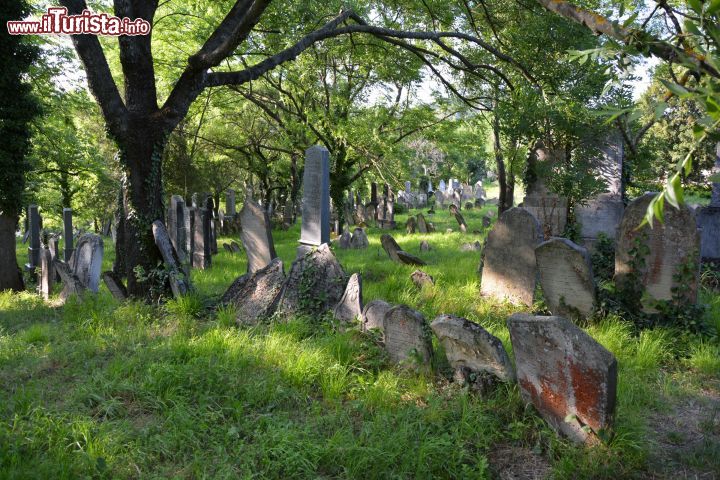 Immagine Il cimitero ebraico a Mikulov, Moravia, Repubblica Ceca. Questa necropoli con tombe rinascimentali, barocche e classiche ospita circa 4000 lapidi di cui la più antica in pietra risale al 1605. Si tratta di lastre rettangolari o quadrate con pilastri che incorniciano un'iscrizione.