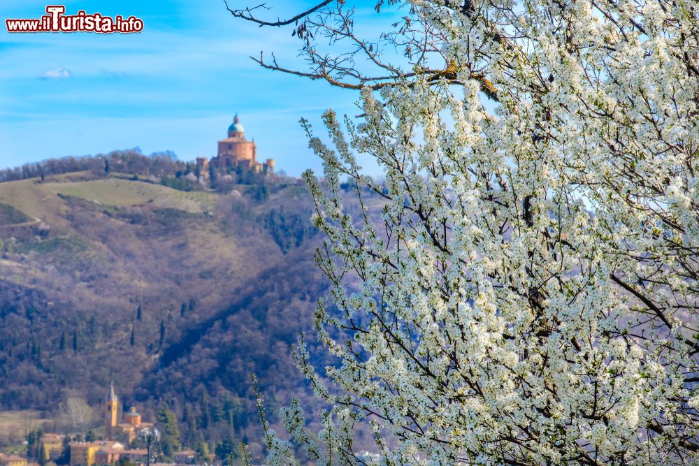 Immagine Il colle di San Luca e i Colli Bolognesi fotografati da Casalecchio di Reno, Emilia-Romagna