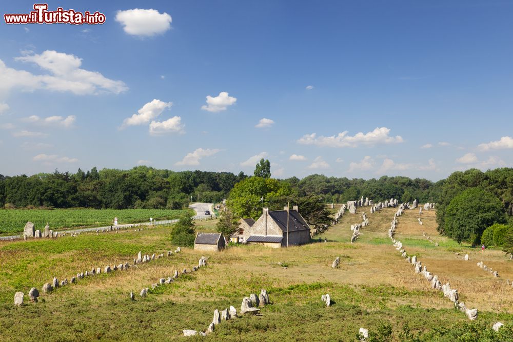 Le foto di cosa vedere e visitare a Carnac