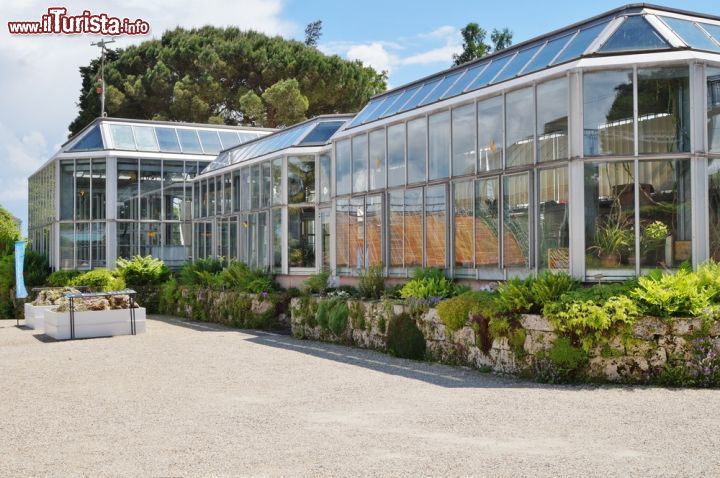 Immagine Il Conservatory e Botanical Garden di Ginevra, Svizzera. Fondato nel 1817, questo museo-parco nei pressi del lago di Ginevra ospita più di 16 mila varietà vegetali oltre a molteplici specie di uccelli esotici - © EQRoy / Shutterstock.com 