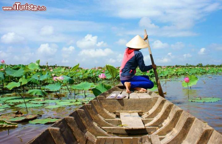 Immagine Il delta del fiume Mekong  il maggiore corso d'acqua del Vietnam