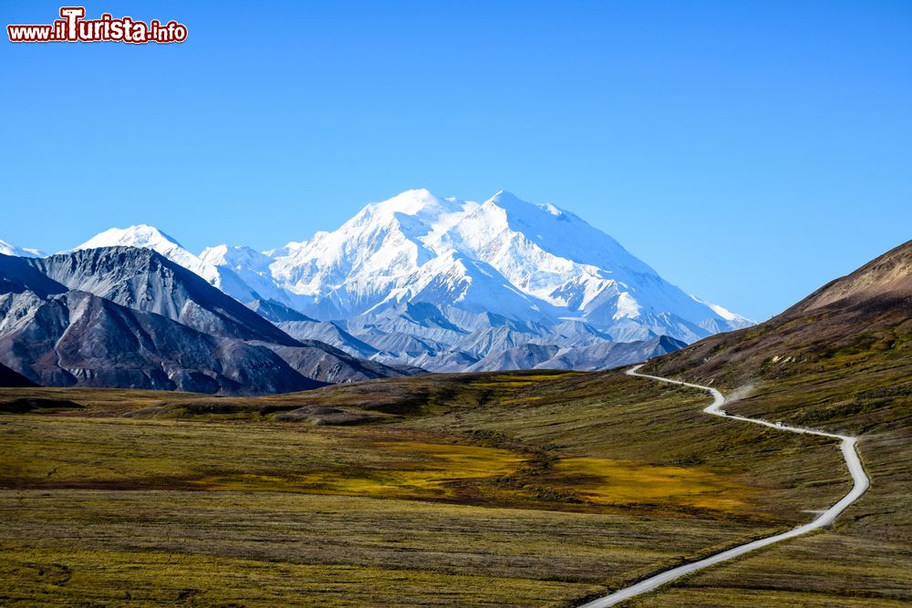 Immagine Il Denali National Park, Alaska, con i monti innevati sullo sfondo. La prima fondazione del parco risale al 1917 quando Charles Sheldon fondò la riserva di caccia. Nel 1980 l'estensione dell'area venne triplicata.