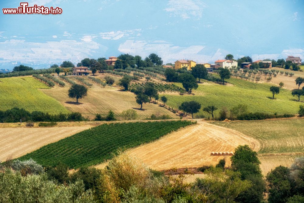 Immagine Il dolce paessaggio delle colline intoerno a Massa Martana e Bastardo in Umbria