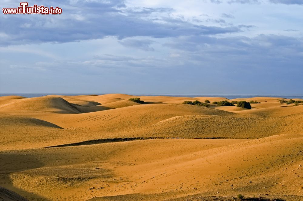 Le foto di cosa vedere e visitare a Maspalomas