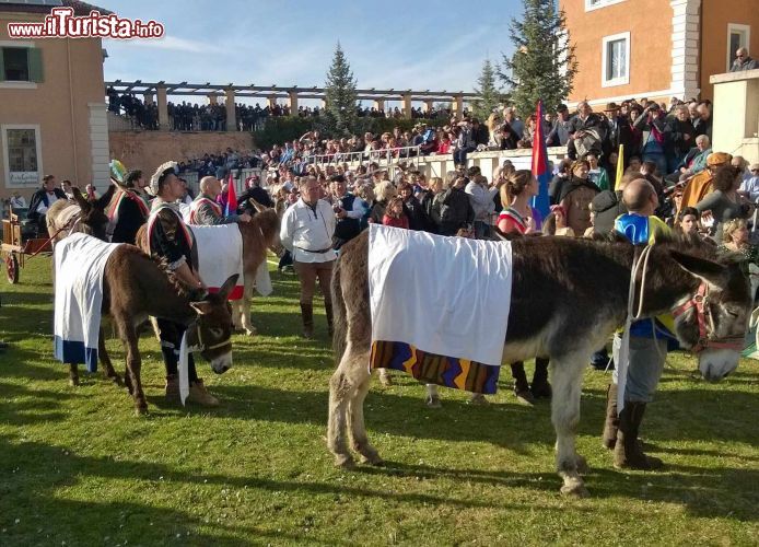 Immagine Il famoso Palio dei somari la simpatica manifestazione di Amatrice - © Pro loco di Amatrice