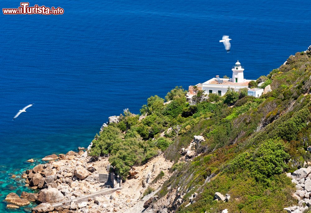 Immagine Il faro di Capo Negro, siamo a Zannone. isole Ponziane, provincia di Latina, Lazio