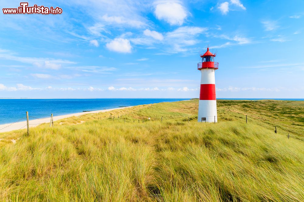 Immagine Il faro di Ellenbogen sulle dune di sabbia nella costa nord dell'isola di Sylt, Germania.