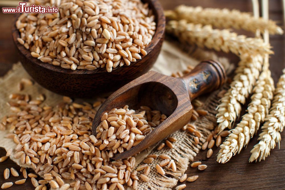 Immagine Il farro DOP celebrato in una mostra mercato a Montelone di Spoleto, Umbria.