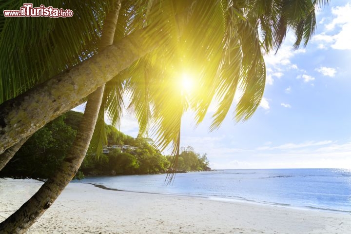 Immagine Il fascino della cosiddetta Anse Soleil (Baie Lazare) sull'isola di Mahé presso le Seychelles - © Chaikovskiy Igor / Shutterstock.com