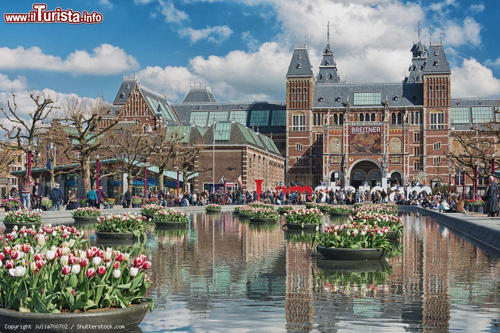 Immagine Il Festival dei Tulipani ad Amsterdam in Olanda: sullo sfondo il Rijksmuseum - © Julia700702 / Shutterstock.com