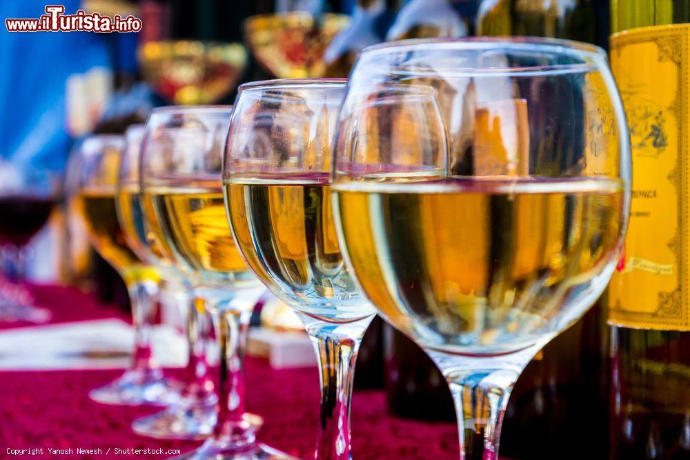 Immagine Il Festival del vino alla Fiera di Forli in Emilia-Romagna. - © Yanosh Nemesh / Shutterstock.com