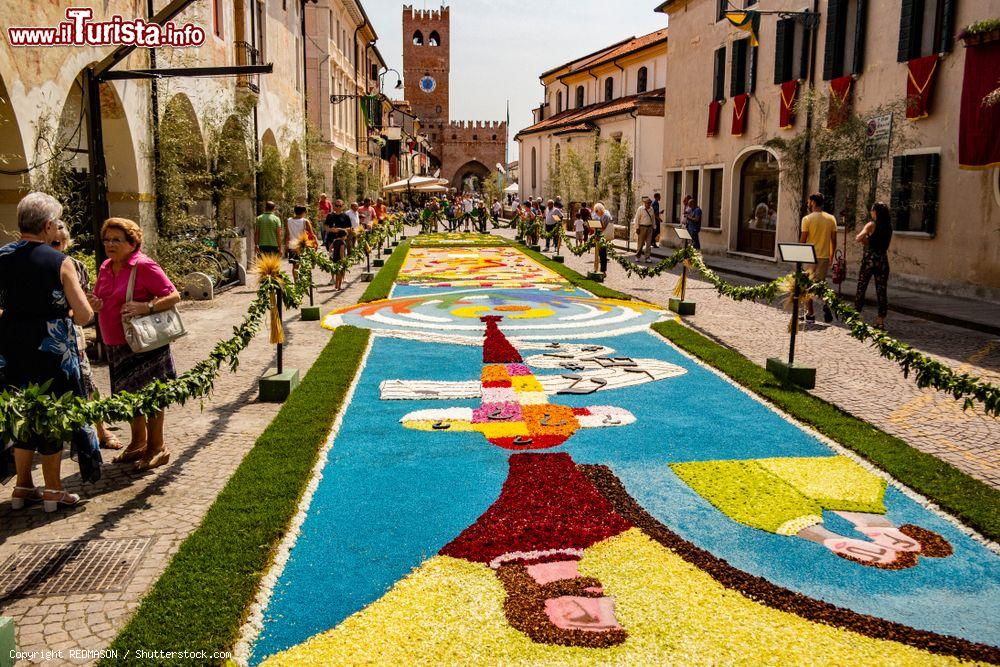 Immagine Il Festival dell'Infiorata di Noale, durante le celebrazioni del Corpus Somini in Veneto - © REDMASON / Shutterstock.com