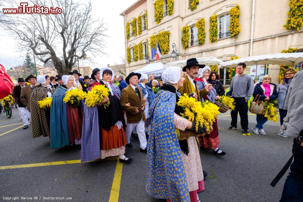 Immagine Il Festival della Mimosa lungo le strde di Tanneron in Francia  - © Marina VN / Shutterstock.com