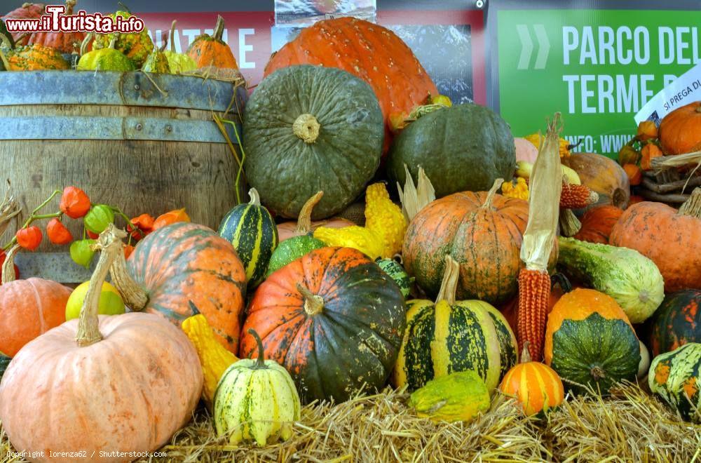 Immagine Il Festival della Zucca a Levico Terme in Trentino - © lorenza62 / Shutterstock.com