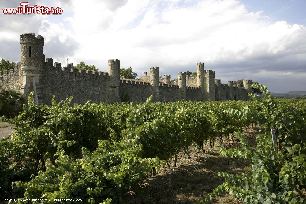 Immagine Il finto castello di Grezen vicino a Pezenas, Francia. A costeggiarne le mura sono distese di vigneti - © david muscroft / Shutterstock.com