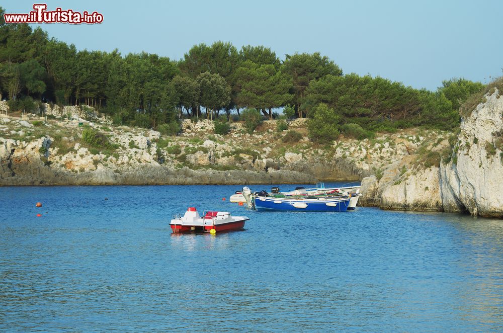 Immagine Il "fiordo" di Porto Badisco nel Salento.